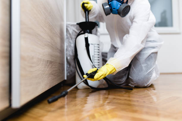 Best Wildlife Control Services  in Vega, TX