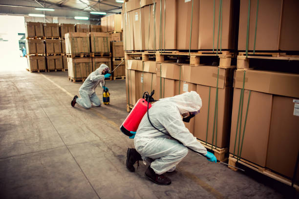 Best Flea Control Services  in Vega, TX