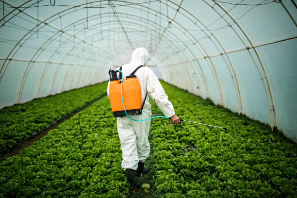 Pest Control for Restaurants in Vega, TX