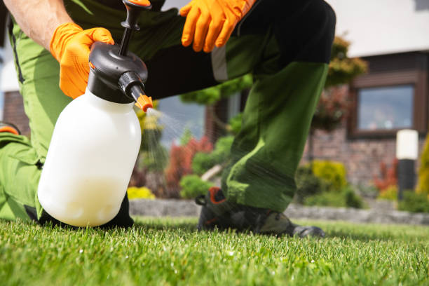 Best Pest Prevention Services  in Vega, TX