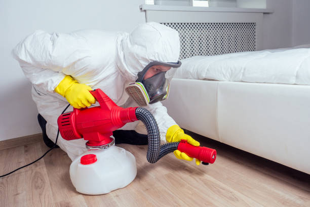 Best Emergency Pest Control  in Vega, TX