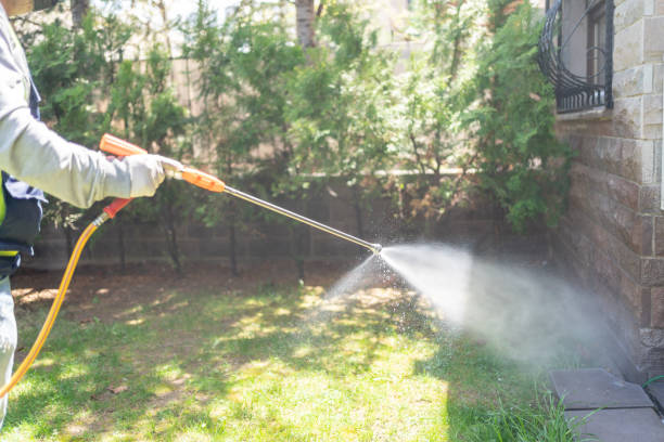 Best Insect Control  in Vega, TX
