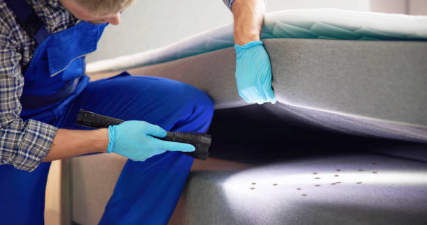 Best Best Pest Control Companies  in Vega, TX