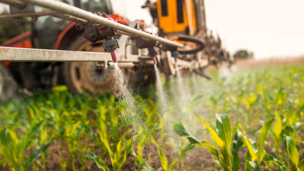 Best Pest Control for Homes  in Vega, TX
